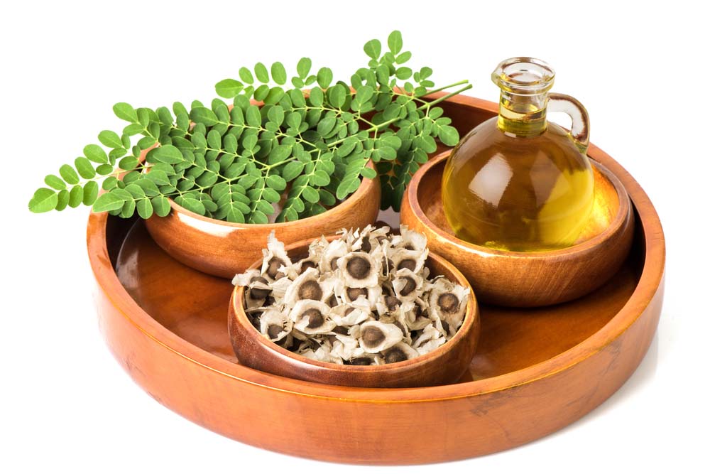 moringa oil, seeds and leaves