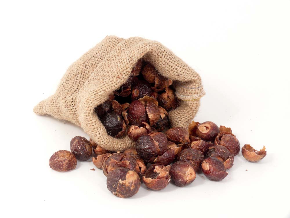 Deseeded Soap Nuts